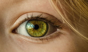 Detailed close-up of a human eye with green iris and natural reflection. Perfect for vision concepts. HD wallpaper