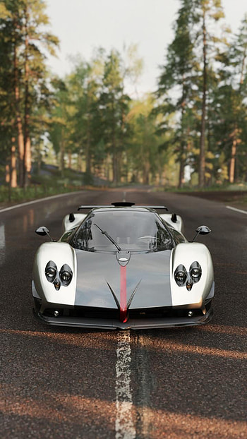 Pagani, Trees, Speed, Nautre, Car, Power, Zonda HD phone wallpaper
