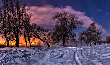 Winter evening, winter, trees, sky, snow HD wallpaper