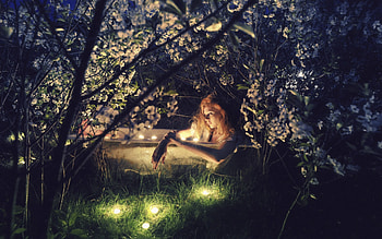night, bath, situation, girl, tree, woman, branch, creative, light, manipulation, green, forest HD wallpaper
