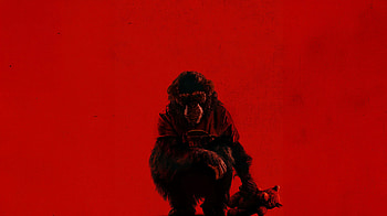 Crimson Primate — Quad, Primate, Red HD wallpaper