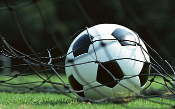 soccer ball in the net, green grass, football concepts, soccer ball, goal, football match, football HD wallpaper