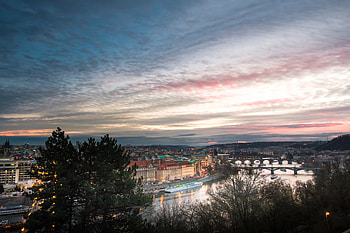 Cities, Rivers, Trees, Sky, City, Building HD wallpaper