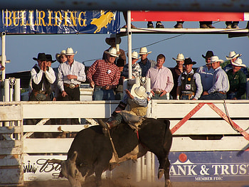 Bullriding Wikimedia commons, Bullriding , Visual inspiration, Exciting sport HD wallpaper