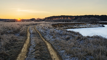 Field Path, nature, path HD wallpaper