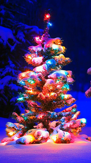 Luminous decorations, Cozy atmosphere, Twinkling lights, Festive vibes HD phone wallpaper