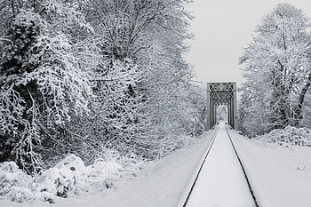 Winter, Nature, Trees, Snow, Bridge, Railway HD wallpaper