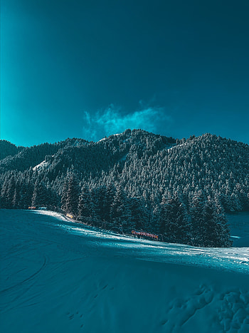 Winter, Nature, Trees, Mountains, Snow, Ski Track HD phone wallpaper