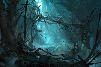 The forest, blue, fantasy, luminos, forest, dark, hongqi zhang HD wallpaper