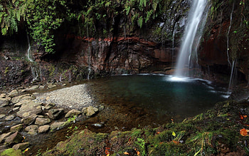 Nature, Stones, Waterfall, Vegetation, Gorge HD wallpaper