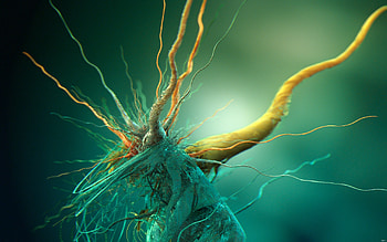 Growth of Cubic Bacteria – Click here ... HD wallpaper