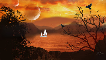 Moonlight Sail, sea, birds, moon, trees, sailboat, mountains, sunset HD wallpaper