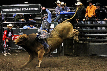 Rodeo action, Breathtaking captures, Adrenaline rush, Skilled cowboys HD wallpaper