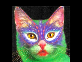 Painted Cat, cool HD wallpaper