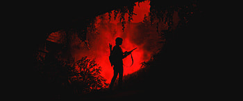 The Last Of Us Part Ii Remastered , the-last-of-us-part-2, the-last-of-us, 2024-games, games, video-games HD wallpaper