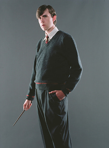 Neville Longbottom, Harry Potter, Portrait, Fan Zone HD phone wallpaper