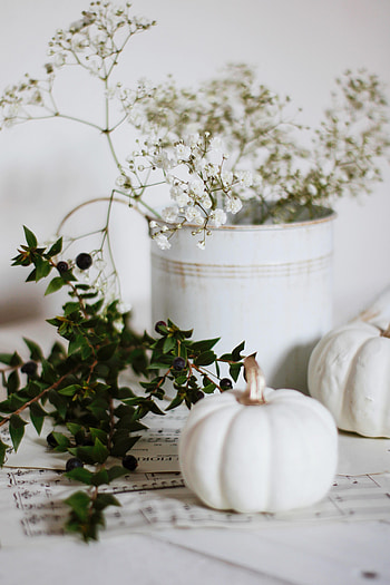 Flowers, Berries, Pumpkin, Miscellanea, Miscellaneous, Branch HD phone wallpaper
