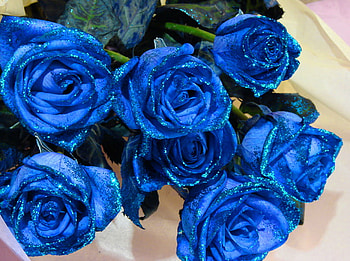 For sweet sister Jackii, blue, roses, sparkling, green, flowers HD wallpaper