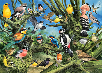Garden Birds FC, animal, bird, art, towhee, beautiful, cedar waxwing, illustration, avian, artwork, wide screen, wildlife, painting, wren, meadow lark, swift HD wallpaper