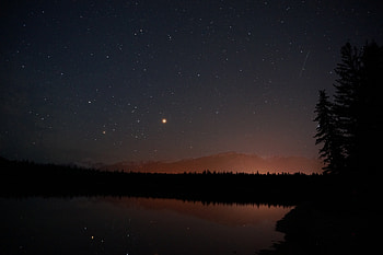Night, reflections, lake, tree, nature HD wallpaper