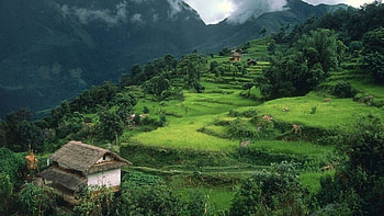 Hut on the Mountain, nepal, mountain, cabin, green, hut, nature, cottage, forest, village HD wallpaper