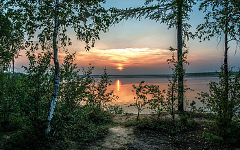 Sunset over Lake, trees, birches, lake, sunset HD wallpaper