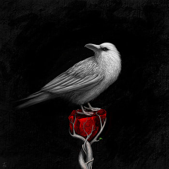 Art, Rock, Bird, Branch, Stone, Raven HD phone wallpaper