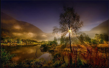 Sunset Tree, scene, hot, cool, meadow, lake, sunset, tree HD wallpaper