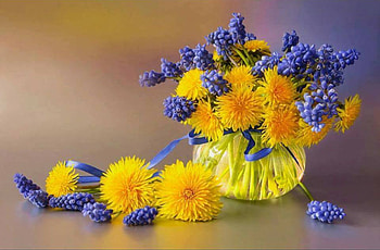 spring still life, still life, graphy, cool, flowers, spring, beauty HD wallpaper