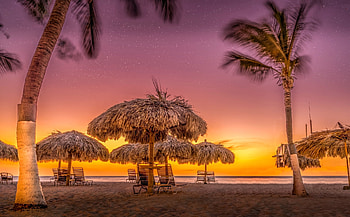 Tropical Sunset, Beach, Nature, Sunset, Palm HD wallpaper