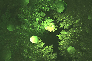 Abstract, Leaves, Circles HD wallpaper