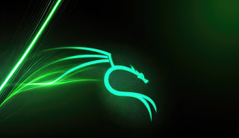 Kali Linux Green , kali-linux, backtrack, linux, computer HD wallpaper