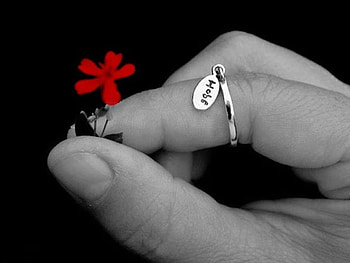 hopefulness, white, black, graphy, red, cool, flowers HD wallpaper