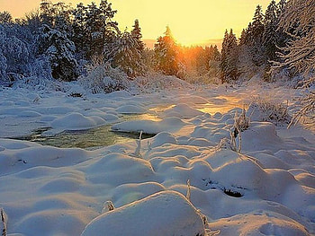 Frosty winter day, river, winter, natural, naure, cold, frosty, day, snow, trees, nature, sky, water, sun, forest, ice HD wallpaper