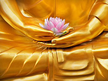 The Golden Buddha, Hand, Buddhism, Religion, Buddha, Lotus HD wallpaper
