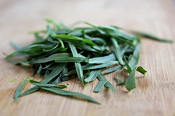 Tarragon herb, tarragon , Tarragon , Tarragon HD wallpaper