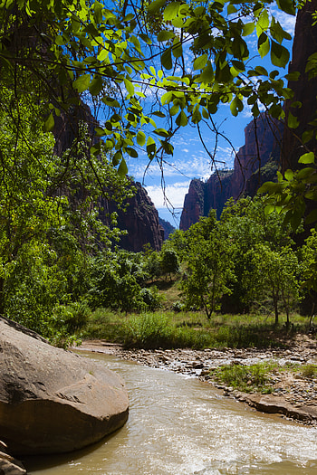 Nature, Rivers, Trees, Stones, Mountains, Branches HD phone wallpaper