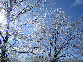 Spring Day Thaw, winter, thaw, day, beautiful, spring, ghost776 HD wallpaper