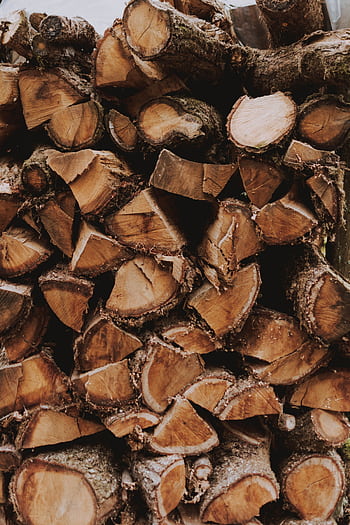 Pile of stacked logs in a rural woodland area used for timber and firewood. HD phone wallpaper
