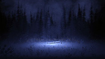 Snowfall of winter night, meadow, art HD wallpaper