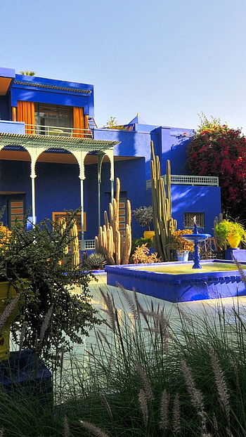 Majorelle jardin, Marrakesh beauty, Nature's tranquility, Full bliss HD phone wallpaper