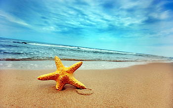 Landscape, Sea, Stars, Beach HD wallpaper