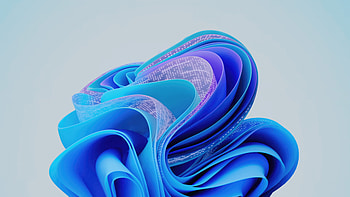 Windows 11 Bloom , windows-11, windows, computer HD wallpaper