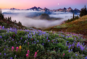 My mountains, color, expression, , new HD wallpaper