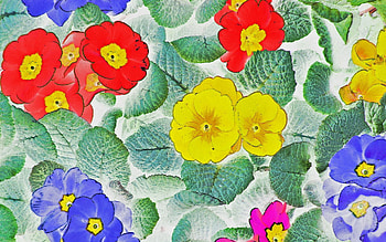 Flowers, Background, Texture, Textures HD wallpaper