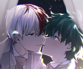 Izuku Midoriya & Shoto Todoroki, Shoto Todoroki, Izuku Midoriya, Anime, My Hero Academia HD wallpaper