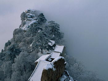 winter, snow, tree, mountain HD wallpaper