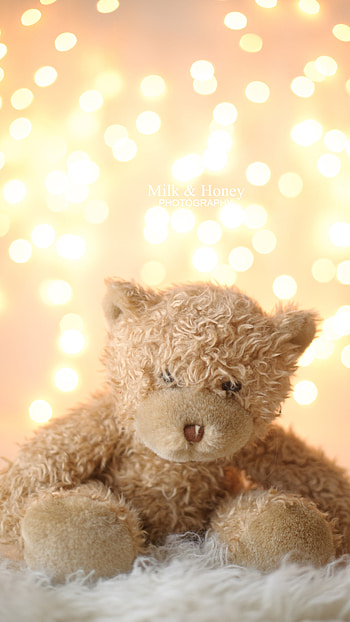 Teddy Bear Live, Cute, Adorable, Soft Toy HD phone wallpaper