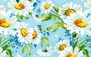 drawn daisies, wildflowers, drawing with flowers, summer, beautiful flowers, daisies, white flowers HD wallpaper