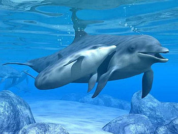 mother and baby, baby, mother, love HD wallpaper